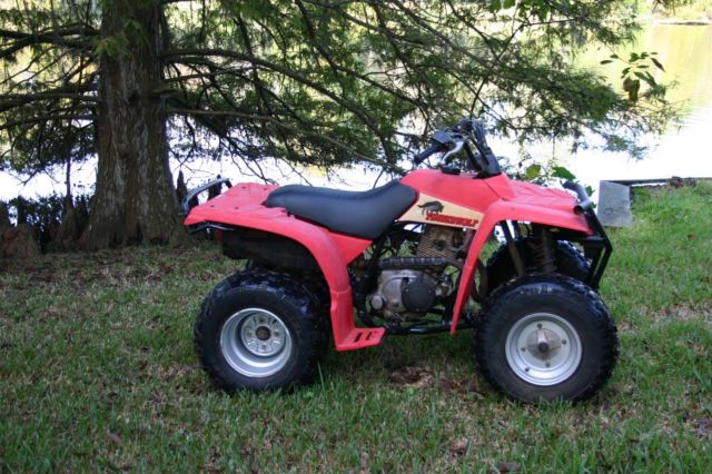 1993 Yamaha Timberwolf