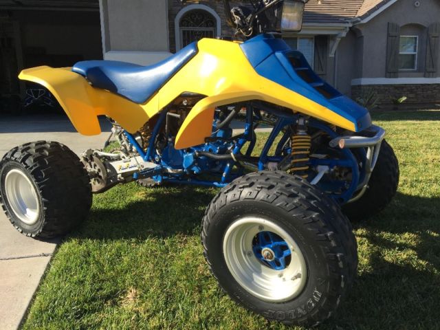 1989 Suzuki Ace