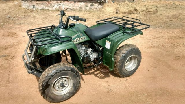 1999 Yamaha BEAR TRACKER