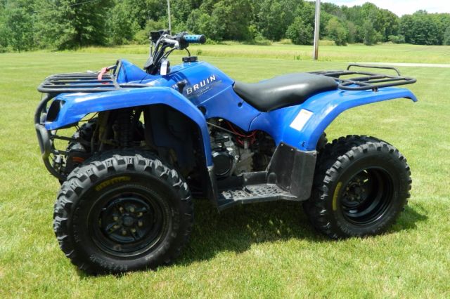 2005 Yamaha Bruin